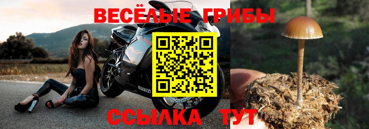 Лосино-Петровский  Псилоцибиновые грибы мухоморы  Вход с VPN 